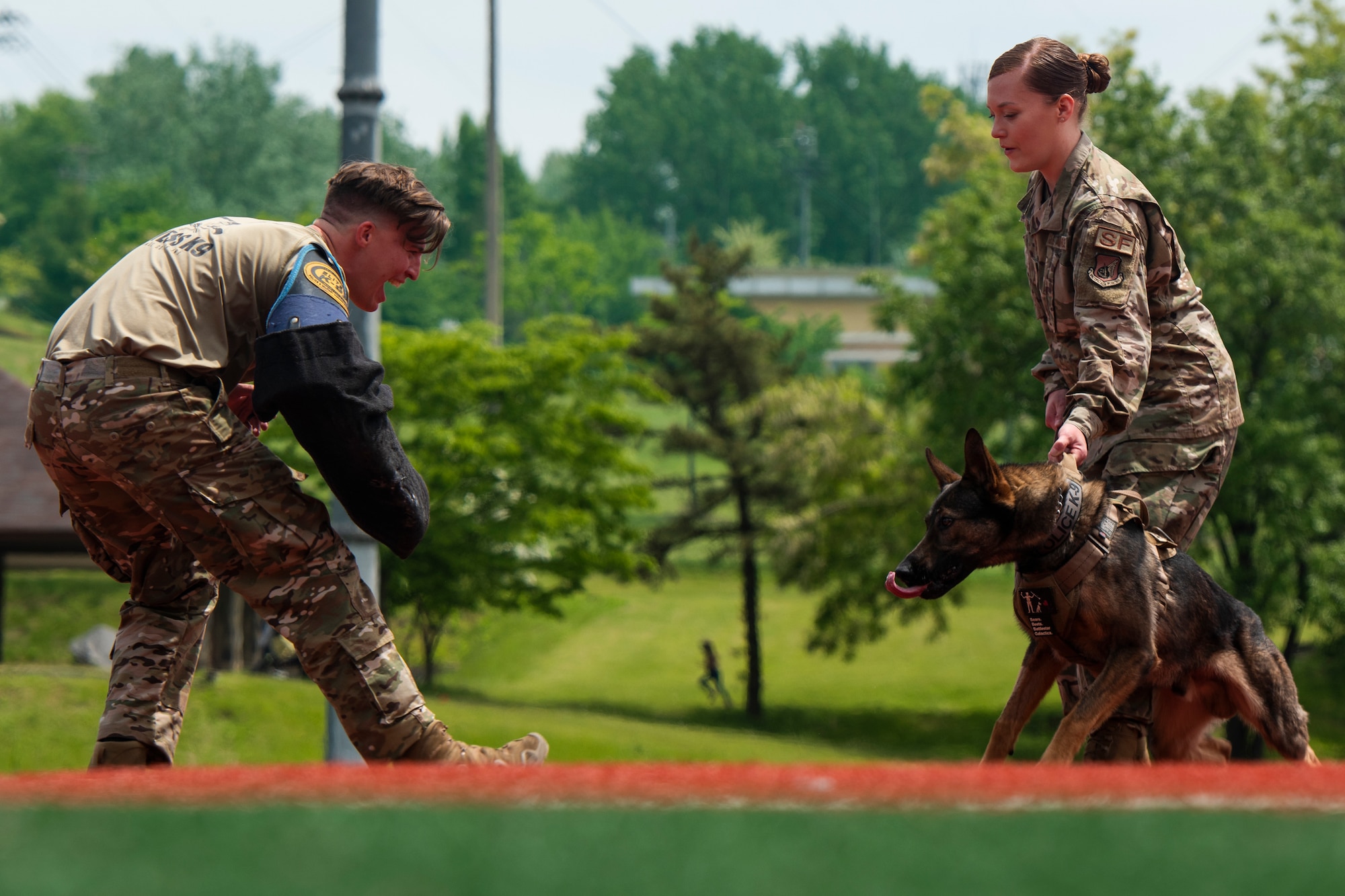 51st Security Forces Squadron held a military working dog demonstration as part of the Police Week events. During the demonstration handlers showcased their bond with their military working dogs as they displayed tactical obedience exercises and controlled aggression commands.
