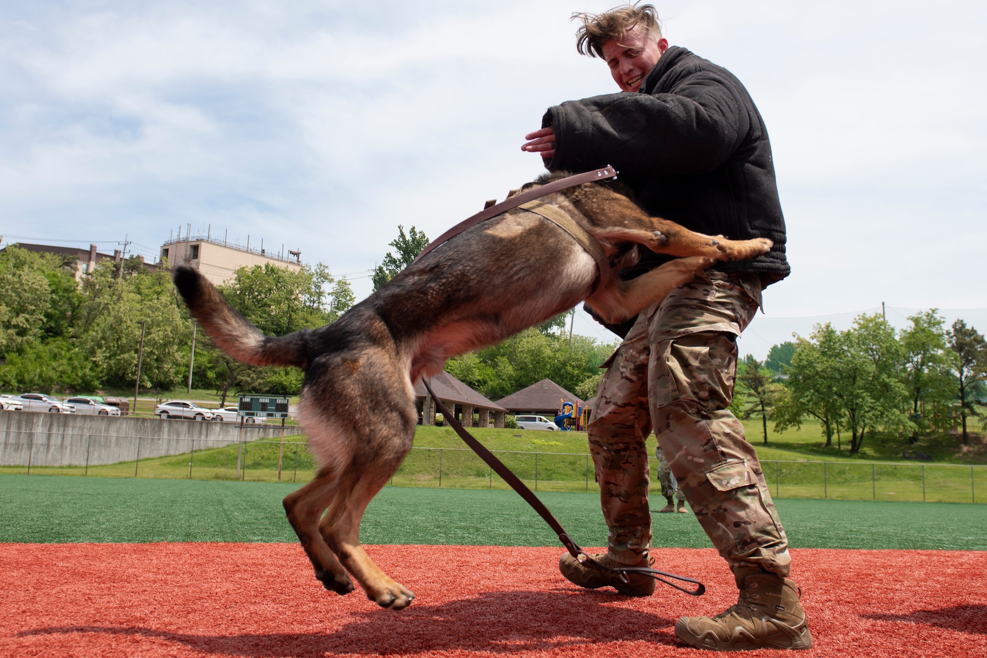 51st Security Forces Squadron held a military working dog demonstration as part of the Police Week events. During the demonstration handlers showcased their bond with their military working dogs as they displayed tactical obedience exercises and controlled aggression commands.
