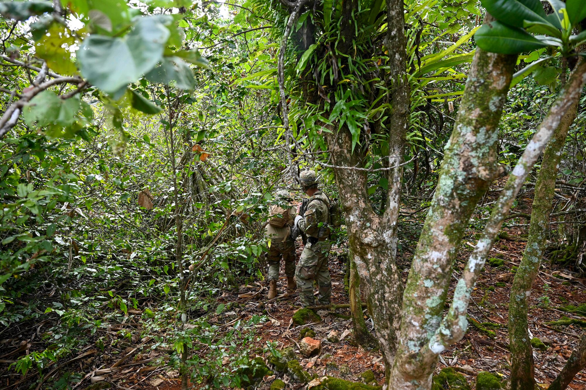 U.S. Air Force Airman 1st Class Adam Lixey and Airman 1st Class Brayan Rivera, systems technicians assigned to the 644th Combat Communications Squadron, practice their land navigation skills during exercise Dragon Forge on North West Field, Guam, April 13, 2021. Exercise Dragon Forge is a combat skills training course that prepares participants to deploy to austere locations. (U.S. Air Force photo by Tech. Sgt. Esteban Esquivel)