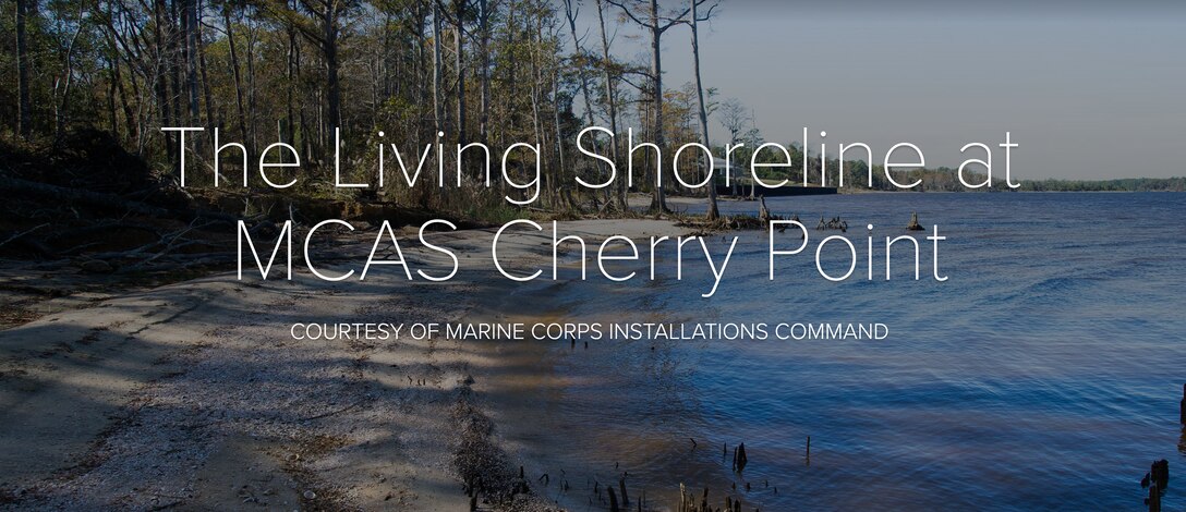 The Living Shoreline at MCAS Cherry Point