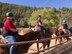 Holloman spouses ride horses during a military spouse appreciation event, May 8-9, at Sacramento Camp and Conference Center, New Mexico.