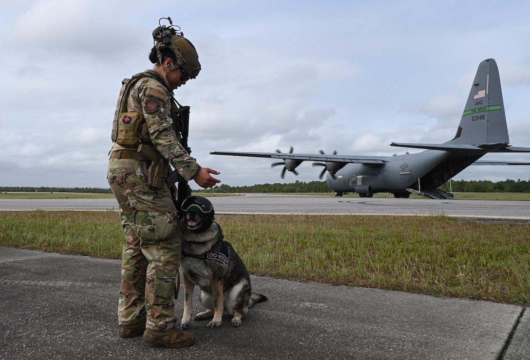 A military working dog attached to the 4th Fighter Wing, Seymour Johnson Air Force Base, N.C. waits with his handler during the Agile Flag 21-2 exercise at Naval Outlying Landing Field Choctaw, Fla., May 3, 2021. Air Combat Command developed the experiment to create a lead wing, aligning squadrons from different locations under a single commander, enhancing their readiness as a team before deploying into a contested environment.