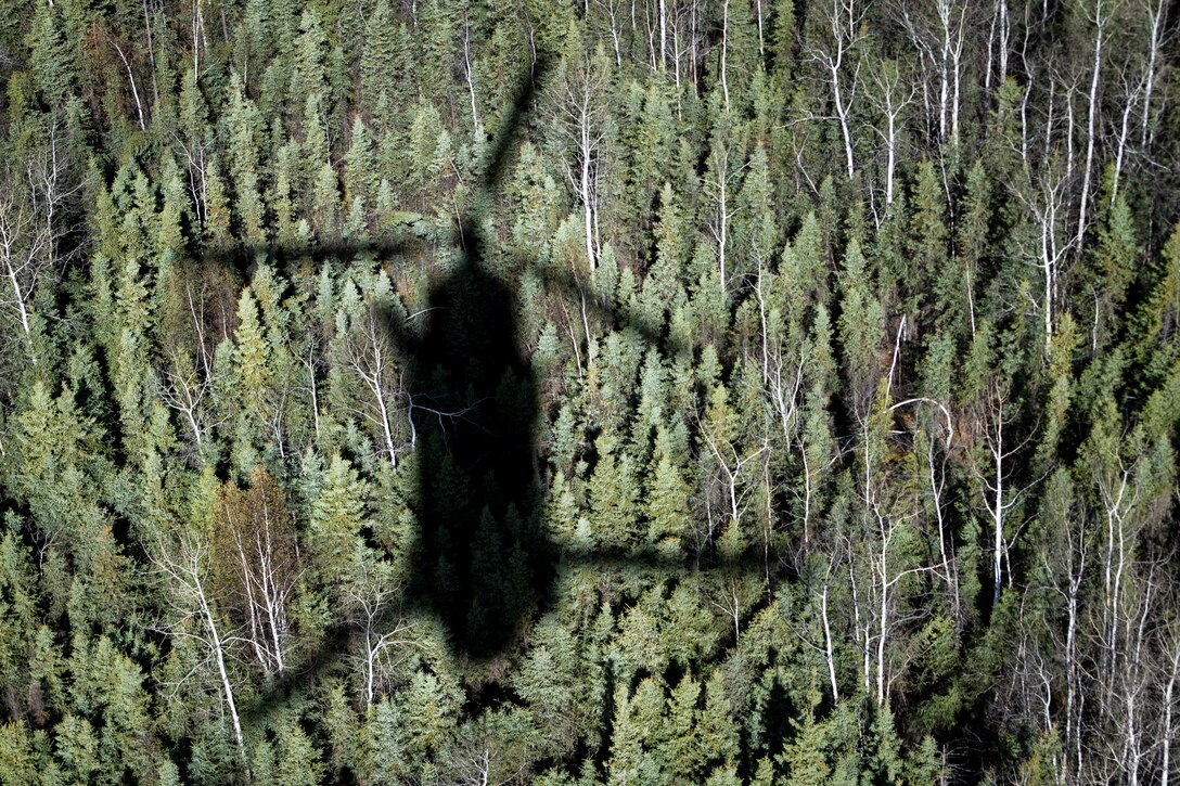The shadow of a military helicopter is seen as it flies above a forest.