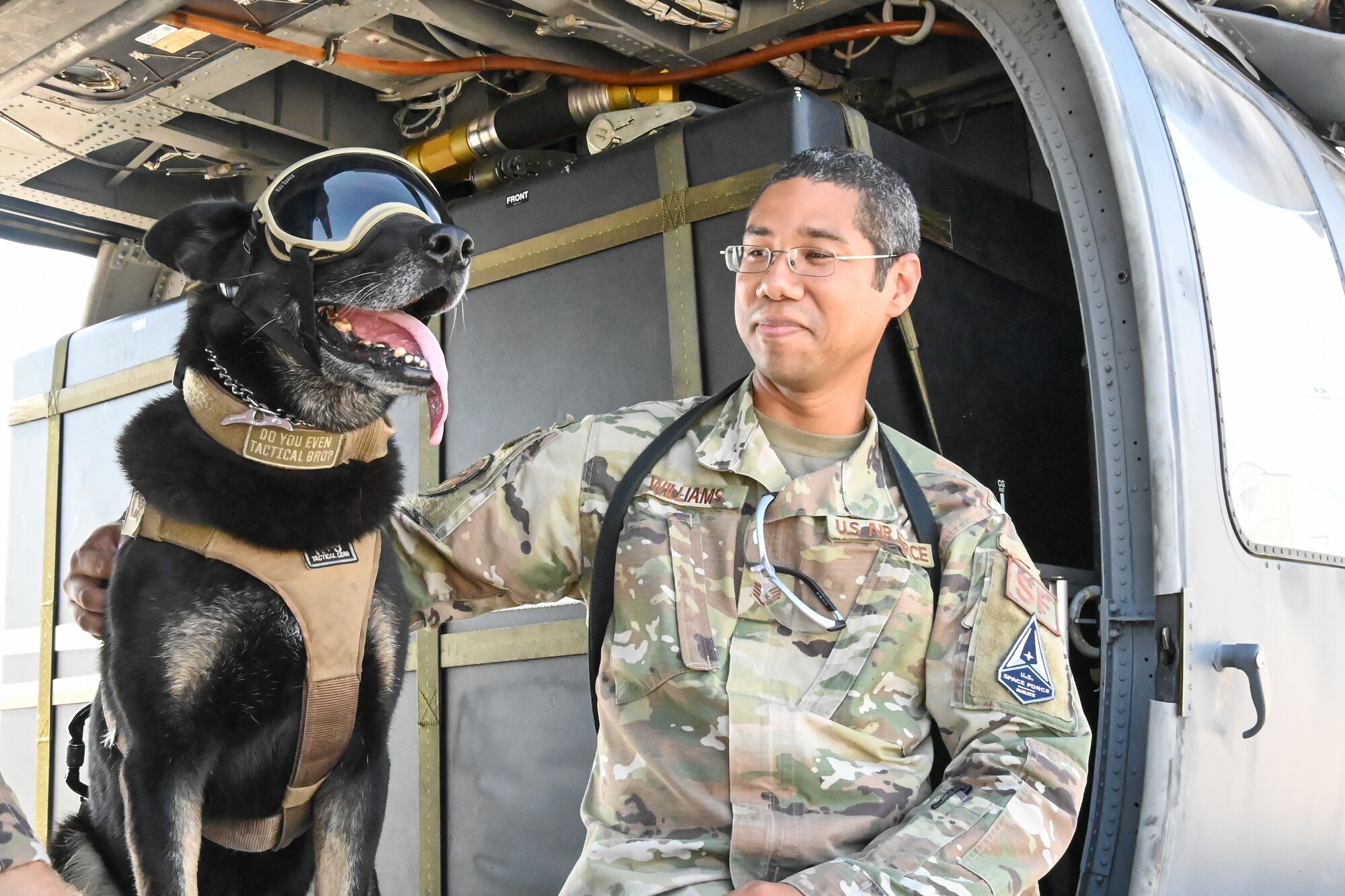 Military Working Dog Familiarization Flight