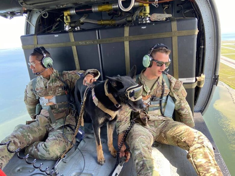 Military Working Dog Familiarization Flight