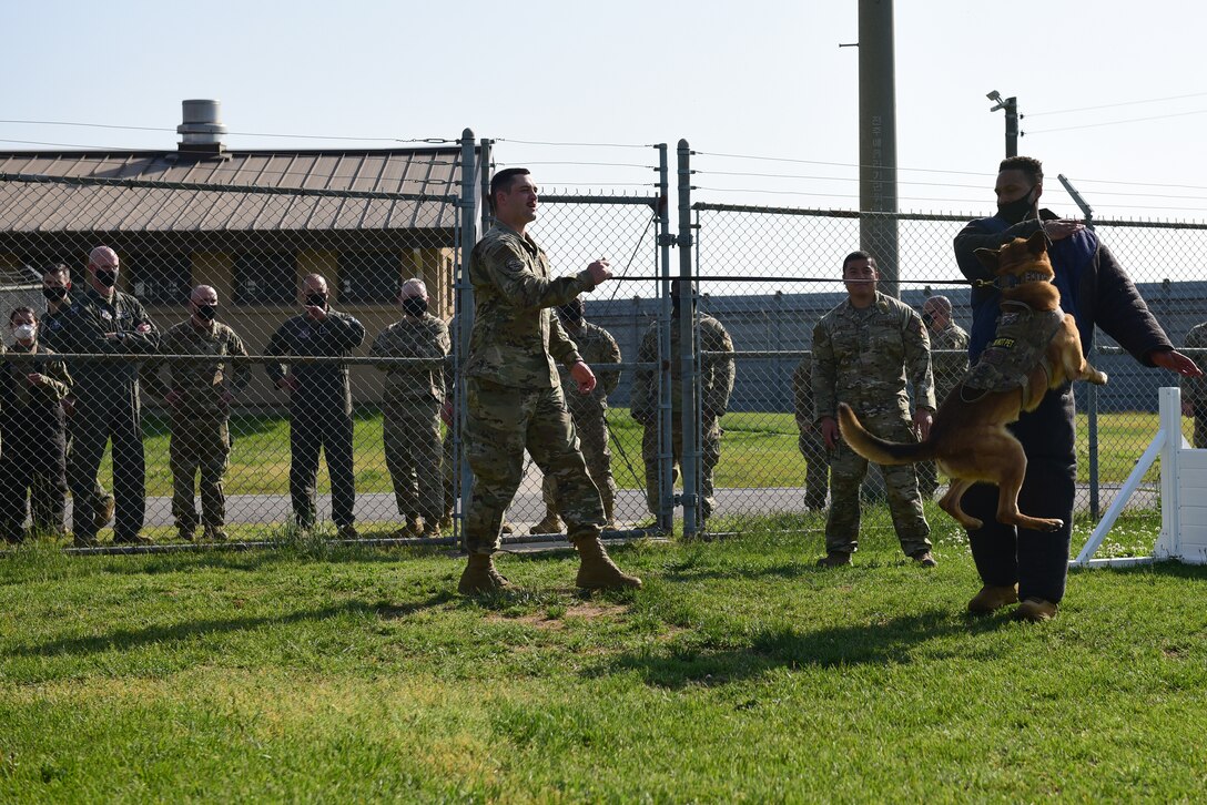 Eighth Security Forces Squadron Airmen, and 8th Fighter Wing and 7th Air Force leadership watch a military working dog demonstration during a 7th Air Force leadership visit at Kunsan AB, Republic of Korea, May 12, 2021. During the visit, Chief Master Sgt. Phil Hudson, 7th AF command chief, toured many units around base, coined outstanding Airmen and held multiple mentorship sessions. (U.S. Air Force photo by Senior Airman Suzie Plotnikov)