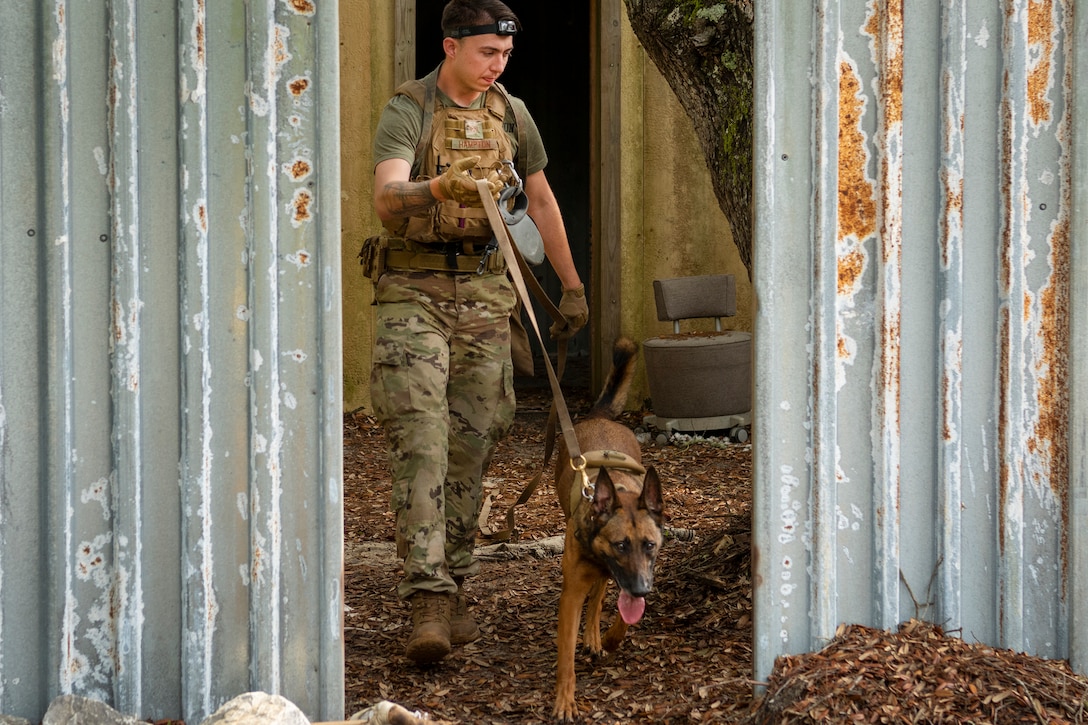 An airman and a dog walk together.