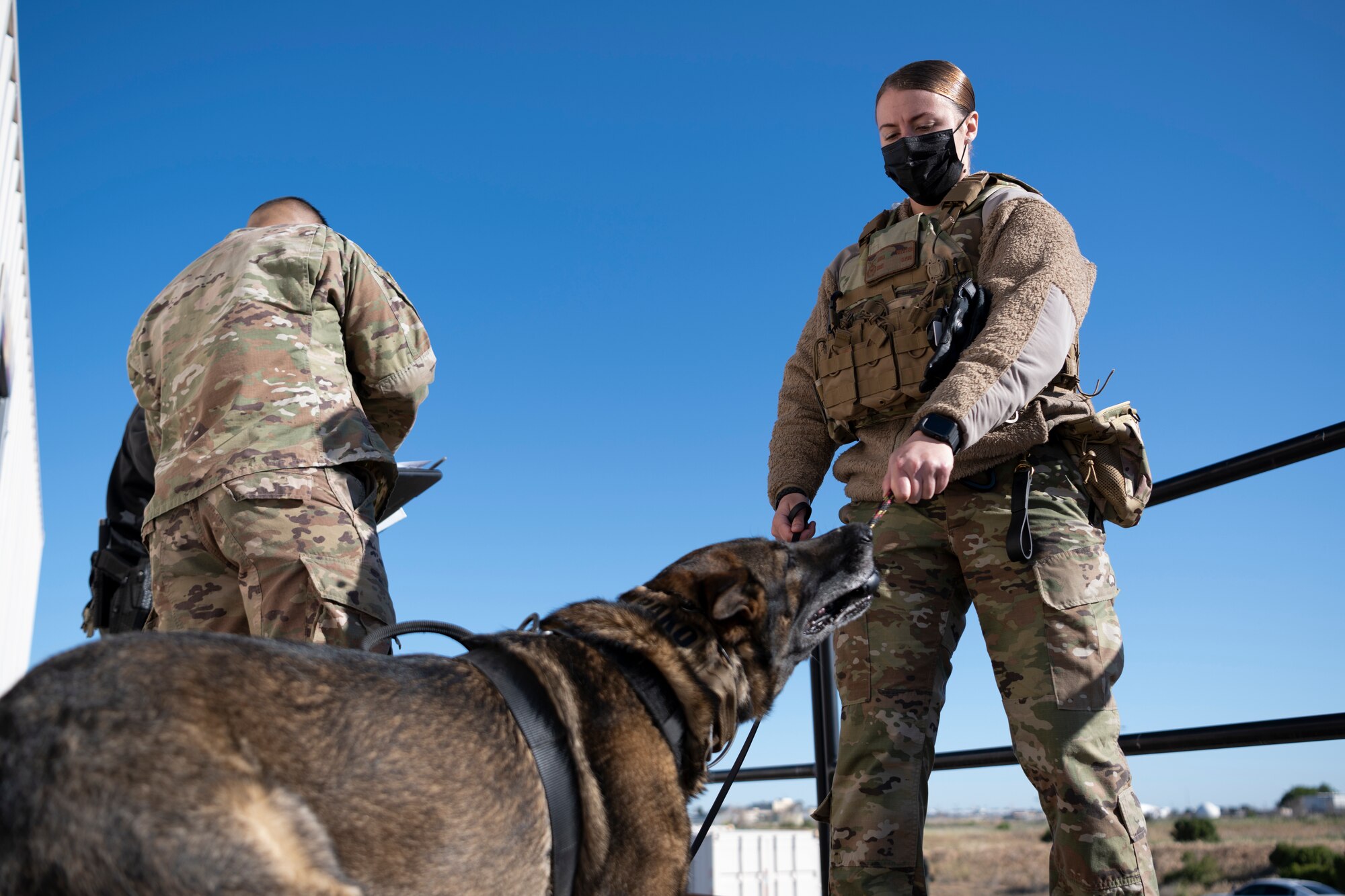 Airmen gives dog a toy