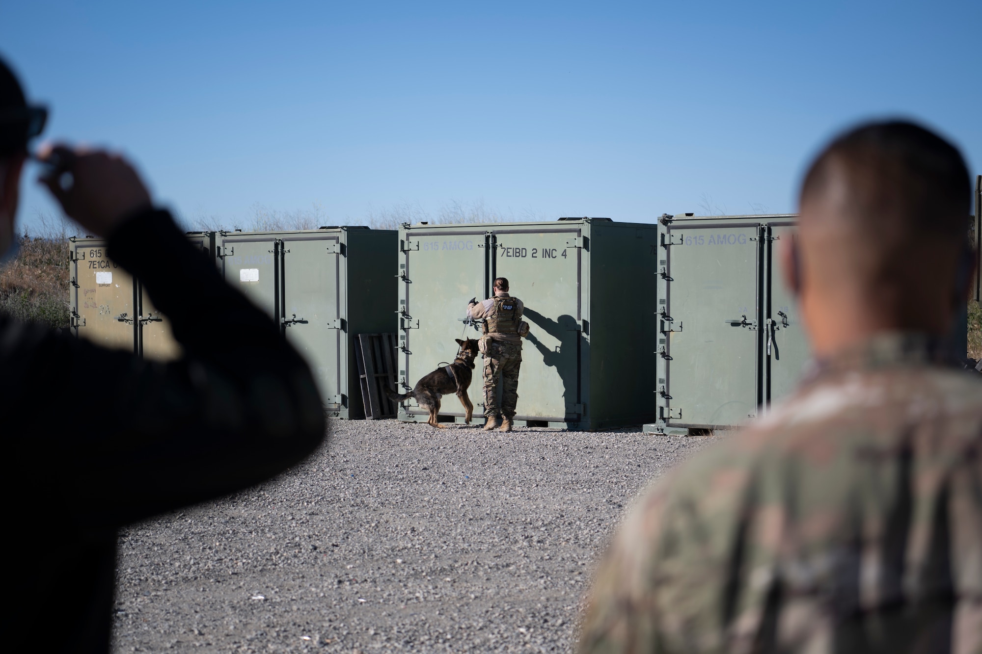 Airmen and dog search container