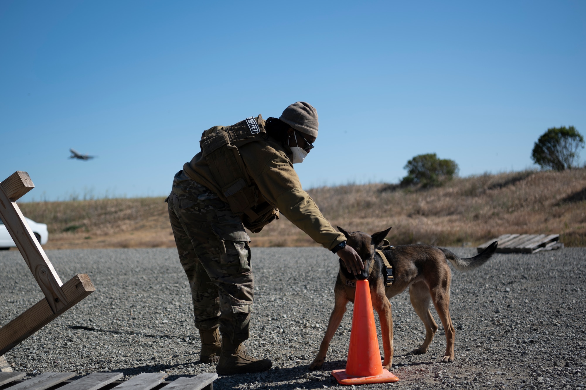 Airman points a dog towards a cone to search