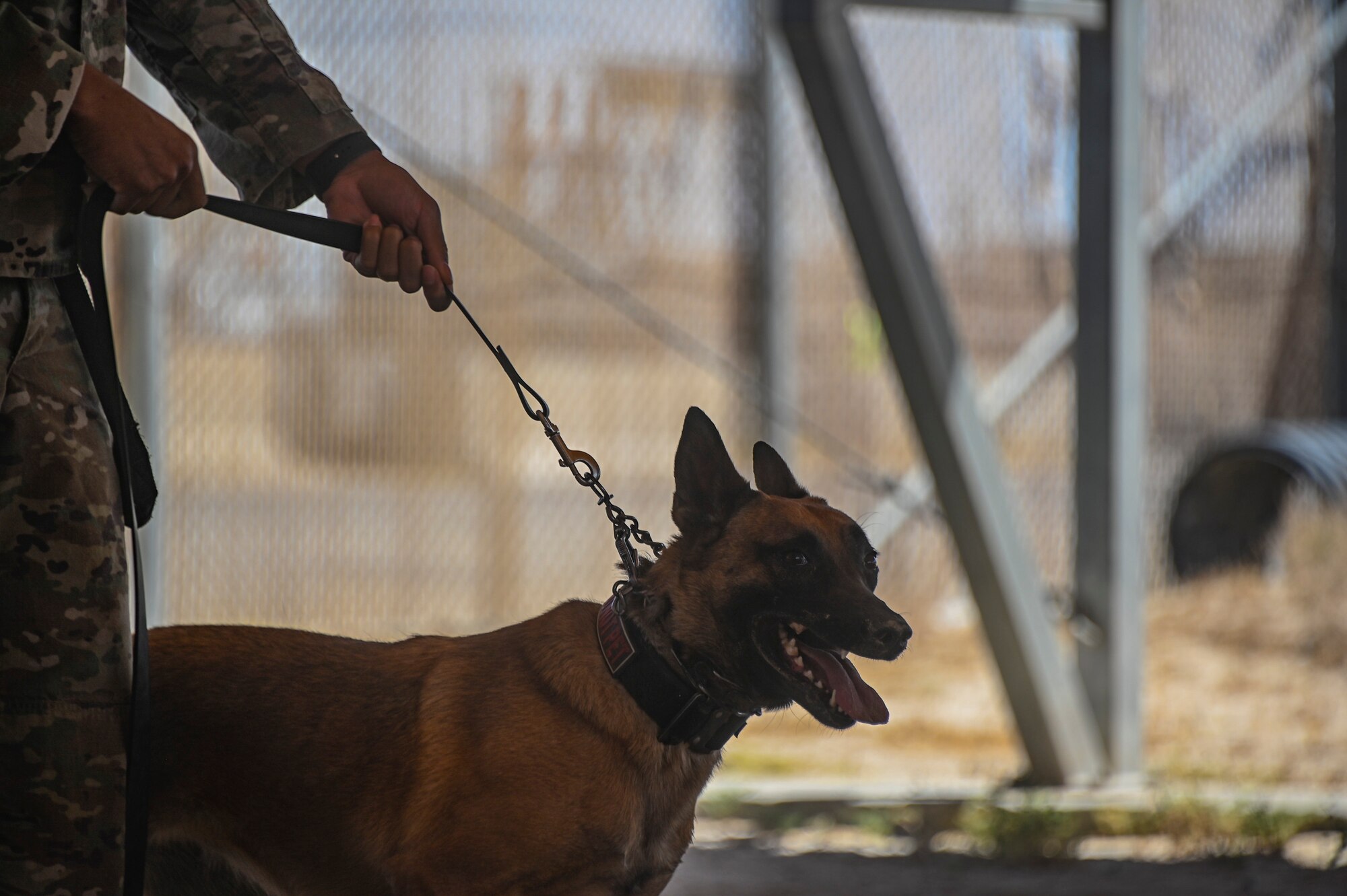 A photo of a ceremony and K-9 demonstration