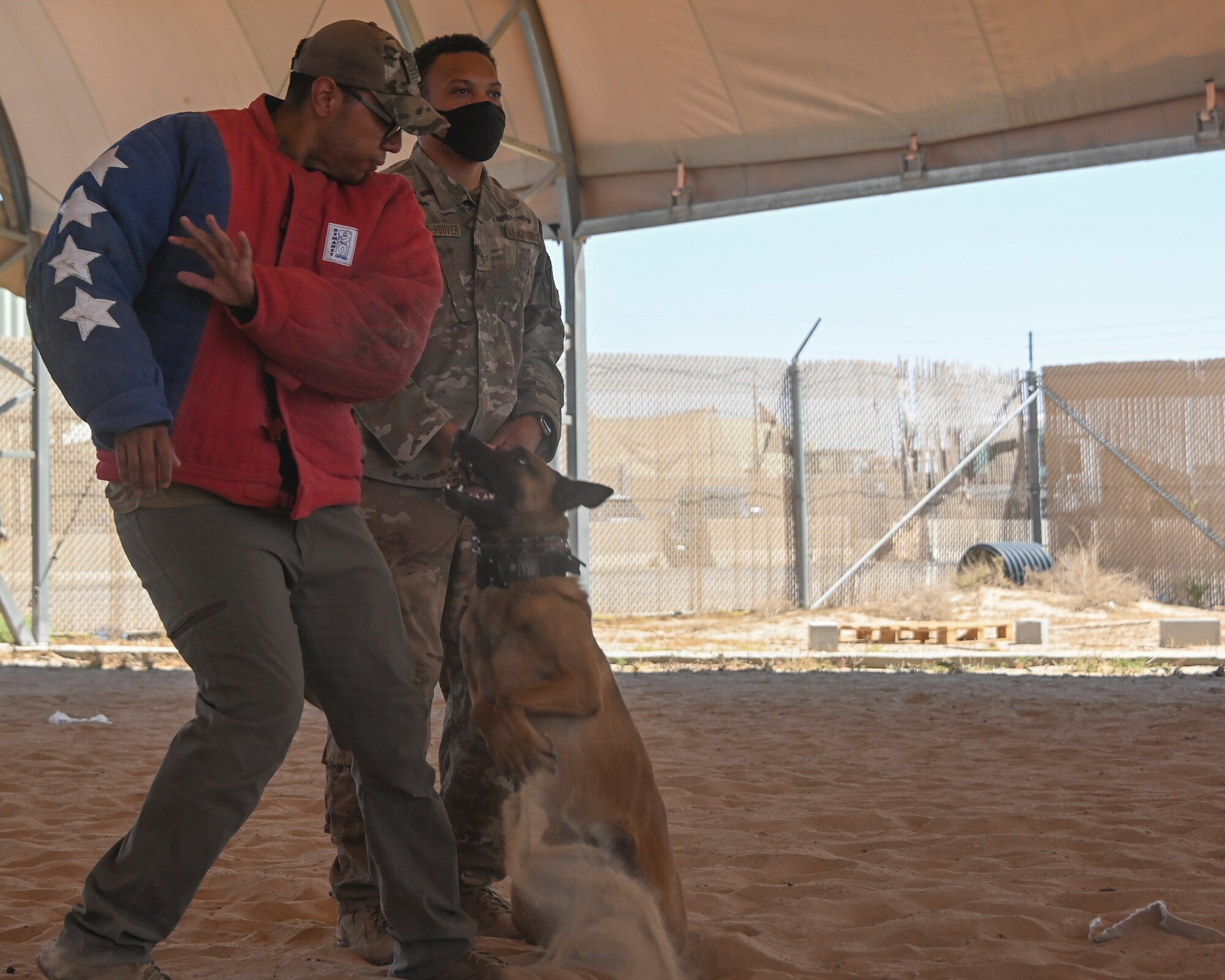 A photo of a ceremony and K-9 demonstration