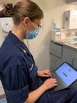 Lt. Cmdr. Diana Gertsch, the CGCA system owner, is pictured demonstrating how providers will connect with their patients using the virtual appointment technology.