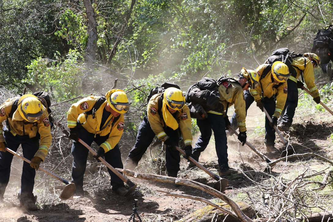 A line of men in firefighting suits dig and shovel dirt.