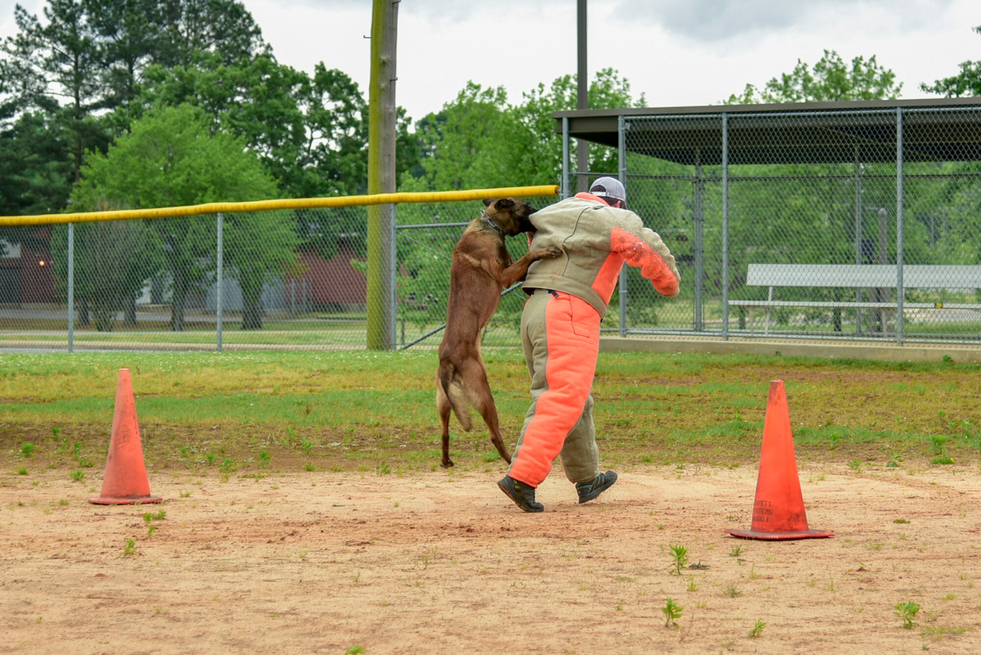 MWDs participate in a competition