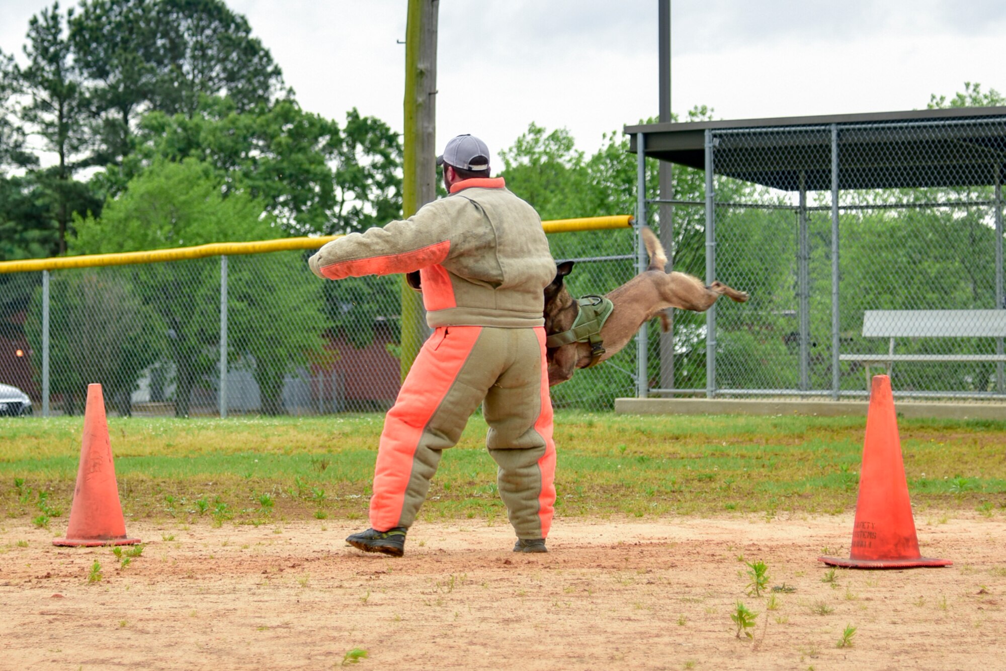 MWDs participate in a competition