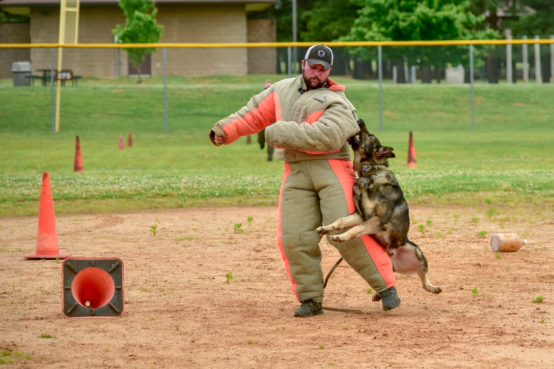 MWDs participate in a competition