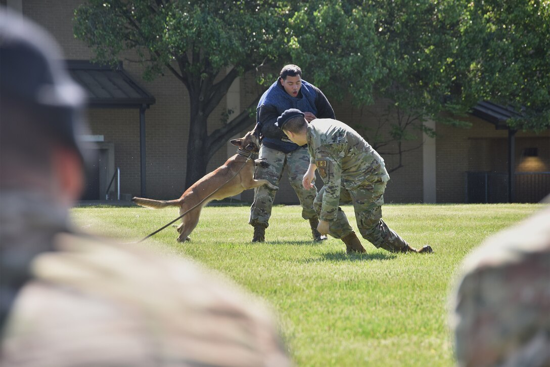 Staff Sgt. Mark Graham, right, and Senior Airman Emanuel Enos, 316th Security Support Squadron military working dog handlers, perform a K-9 demonstration during National Police Week, May 11, 2021, at Joint Base Andrews, Md. National Police Week was established by Congress in 1962 to honor members of law enforcement who lost their lives in the line of duty. JBA celebrated National Police Week with a 5k run and ruck march, security forces demonstrations, bowling, a cornhole tournament, softball games and a barbecue. (U.S. Air Force photo by Senior Airman Daniel Brosam)