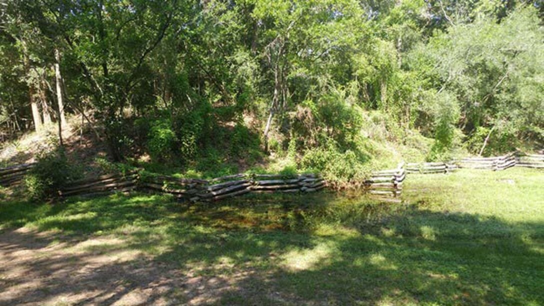 A curvy old wooden fence separates trees from pasture.