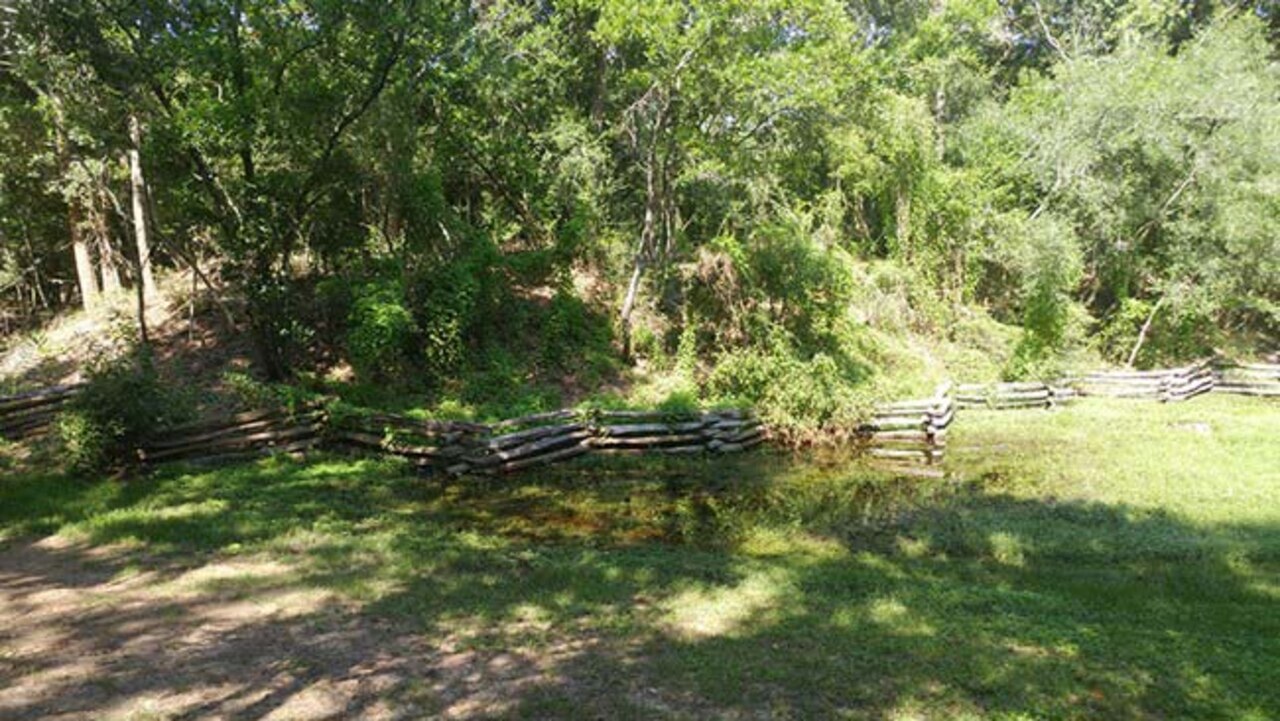 A curvy old wooden fence separates trees from pasture.