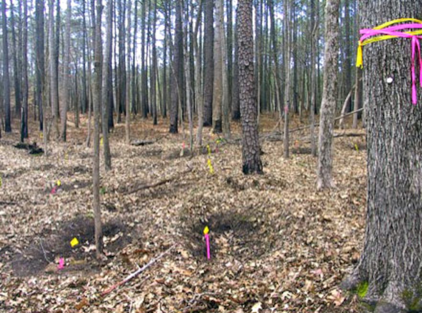 Efforts underway to locate historic gravesites at Fort Pickett