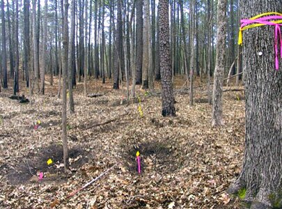 Efforts underway to locate historic gravesites at Fort Pickett