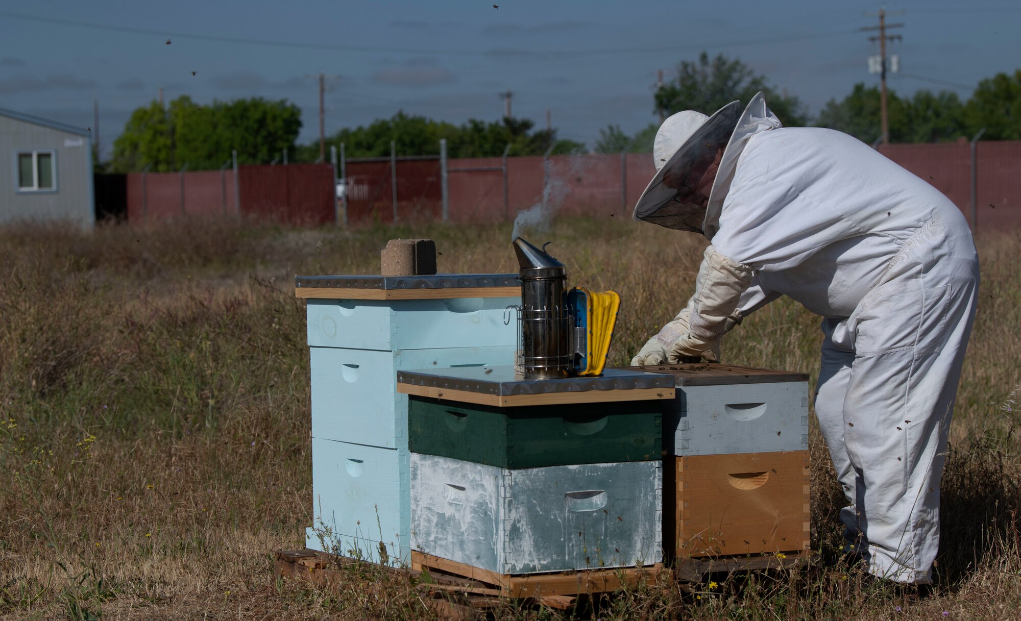 Blaze Baker prepares to smoke out a beehive.