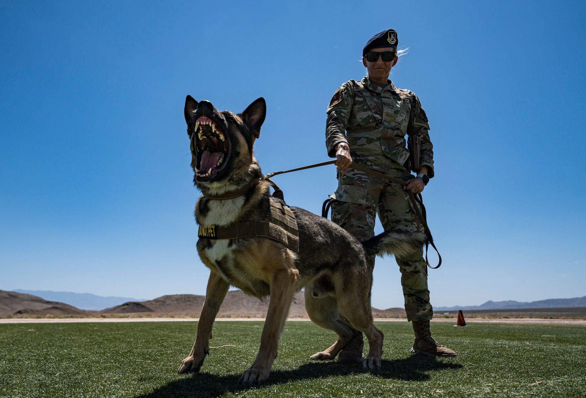 Airman holds the leash of a barking military working dog.