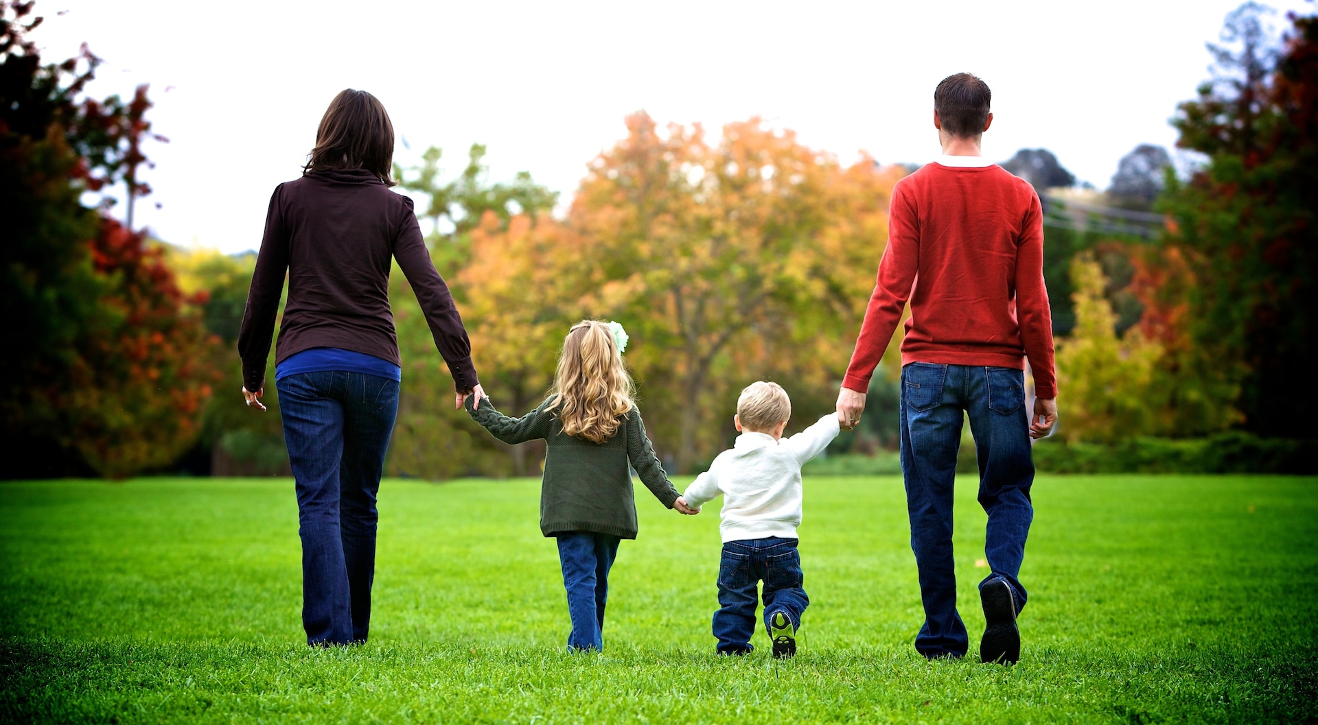 A family walking away holding hands in a park.