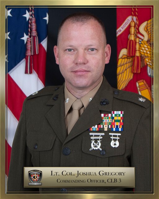 Lieutenant Colonel Joshua A. Gregory > 3d Marine Logistics Group ...