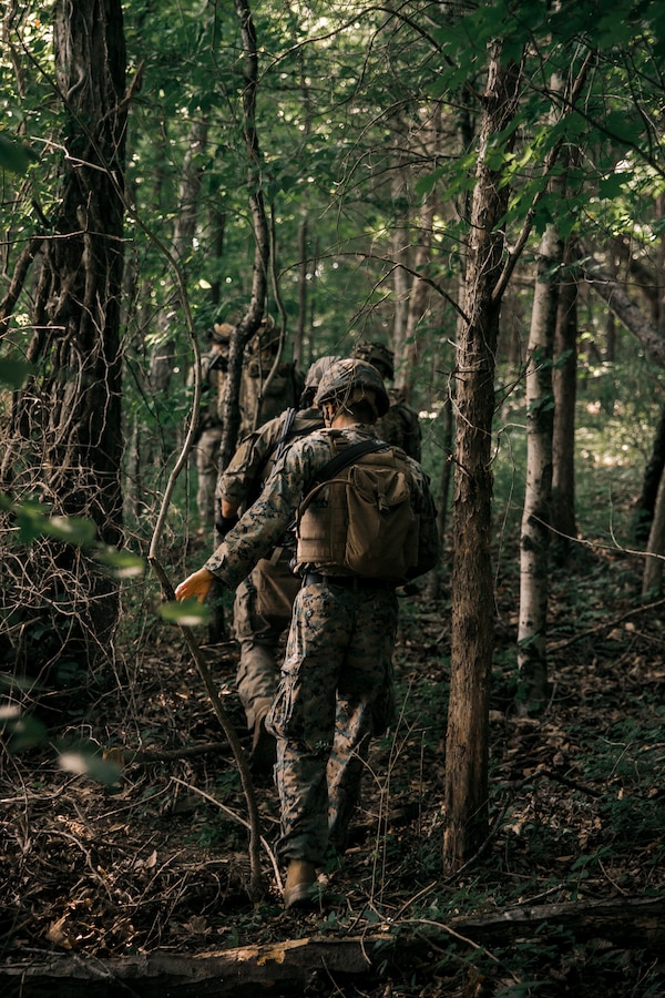 U.S. Marines with 3rd Battalion, 2d Marine Regiment (3/2), 2d Marine Division, and Marine Corps Forces Special Operations Command (MARSOC) conduct a combat patrol during Exercise Raven 2-21 in Nashville, Tenn., May 22, 2021.