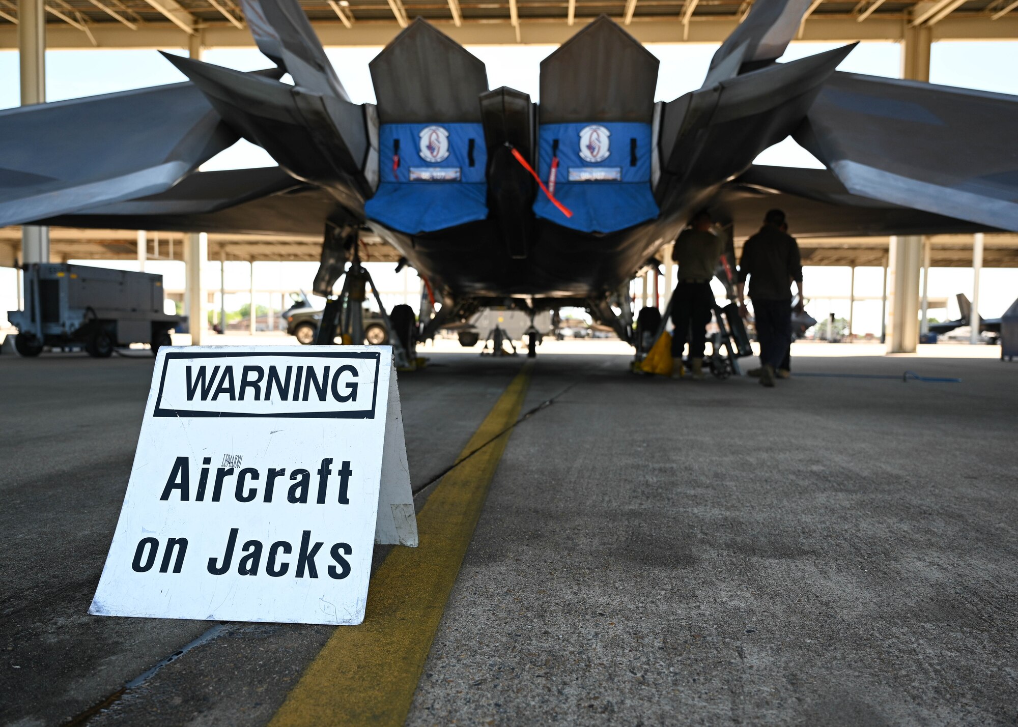 F-22 Raptor