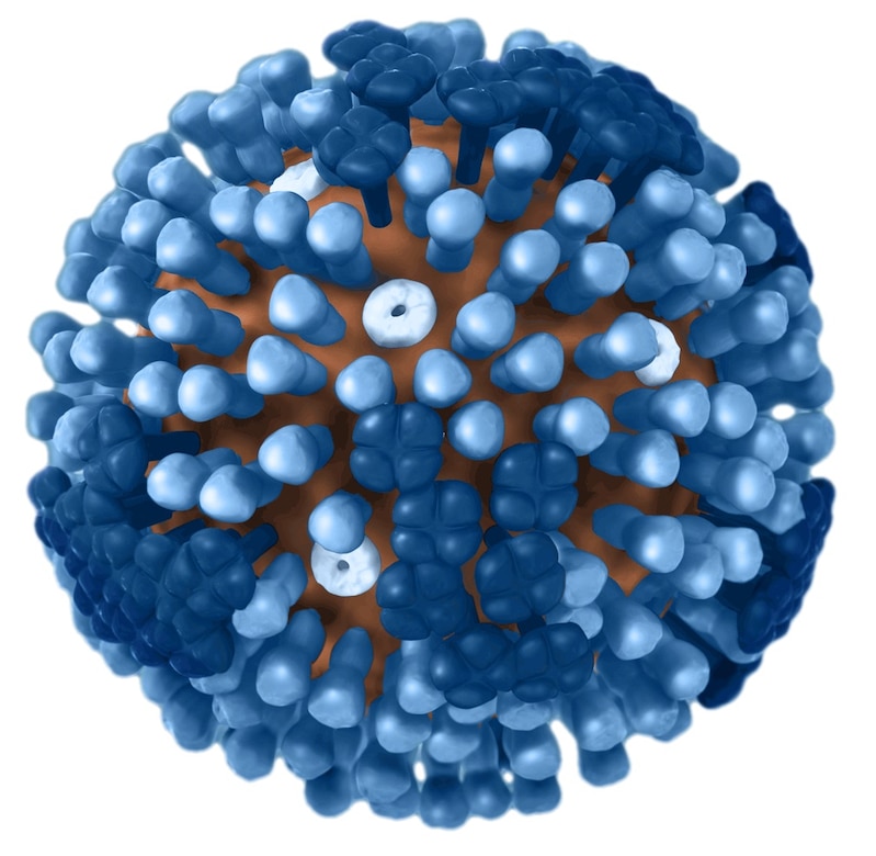 Created in 2009, this illustration provides a 3D graphical representation of a generic Influenza virion’s ultrastructure, and is not specific to a seasonal, avian, or 2009 H1N1 virus.