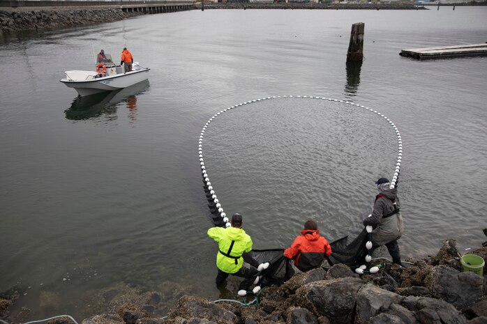 Members from both the Naval Station Everett (NSE) Environmental Department and National Oceanic and Atmospheric Administration pull in a net on the shores of NSE, Washington, May 20, 2021.