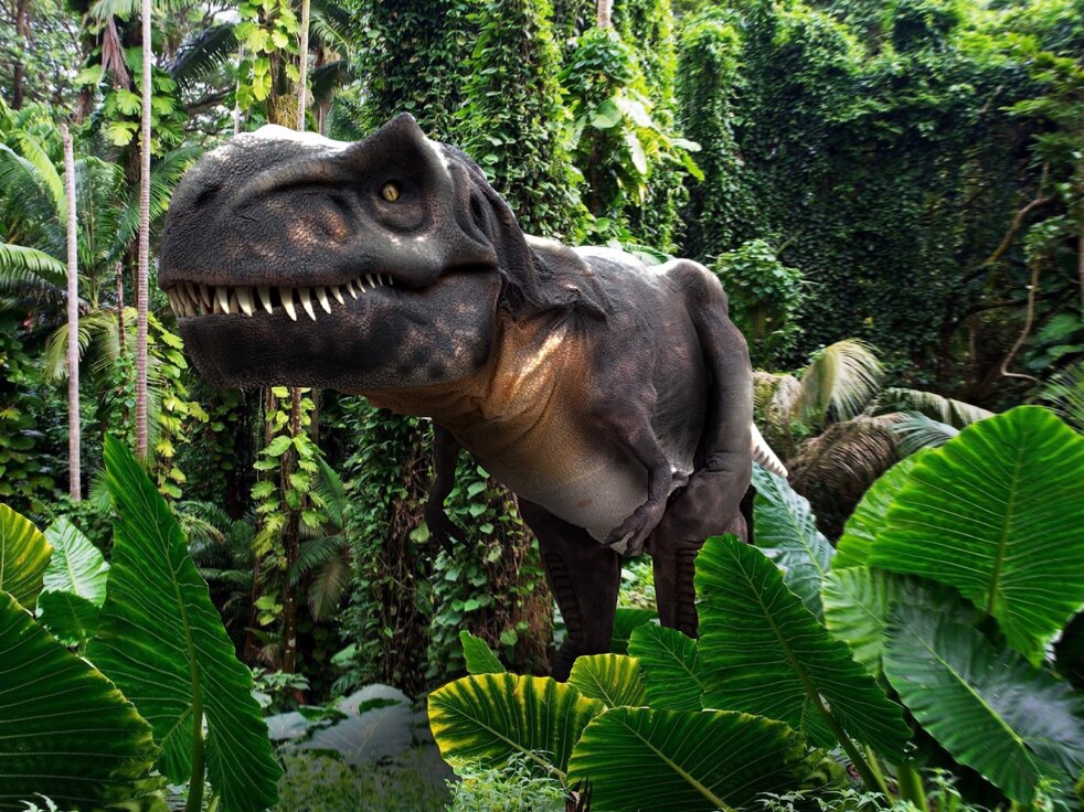 Illustration of a tyrannosaurus rex in a forest.