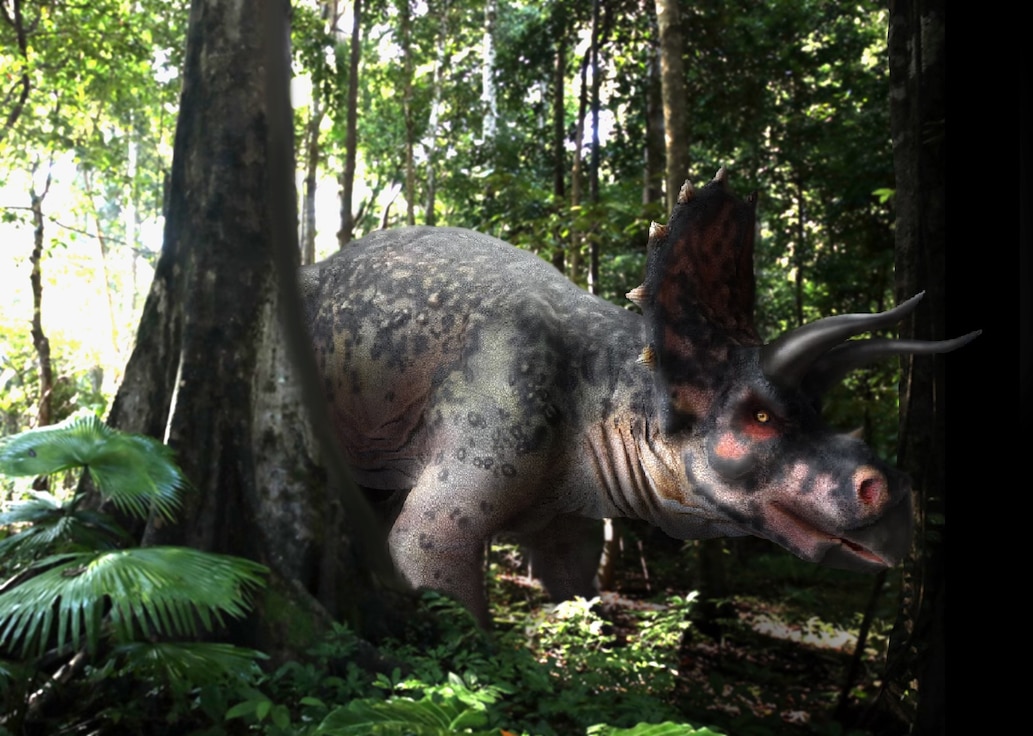 Illustration of a triceratops in a forest.