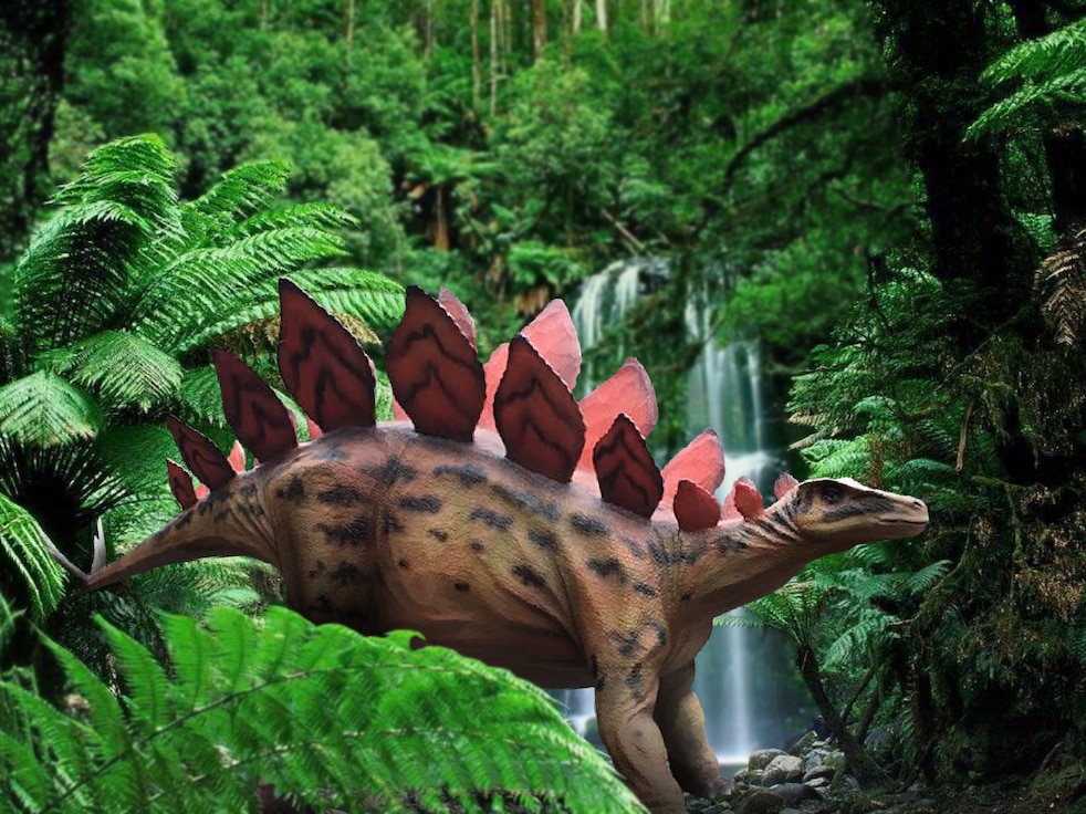 Illustration of a stegosaurus in a forest.