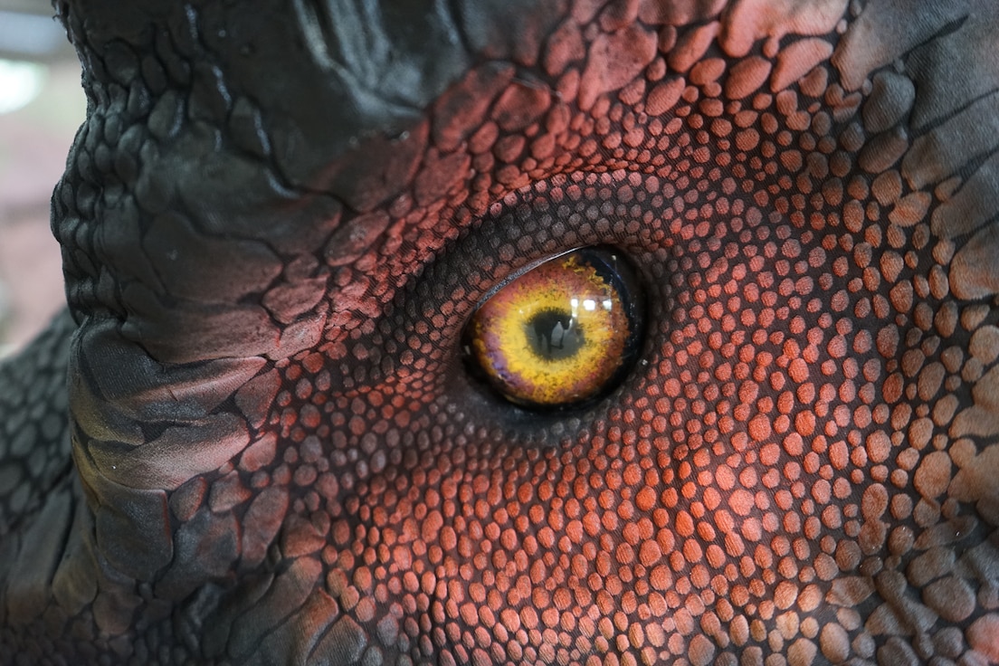 Close-up illustration of a yellow dinosaur eye.