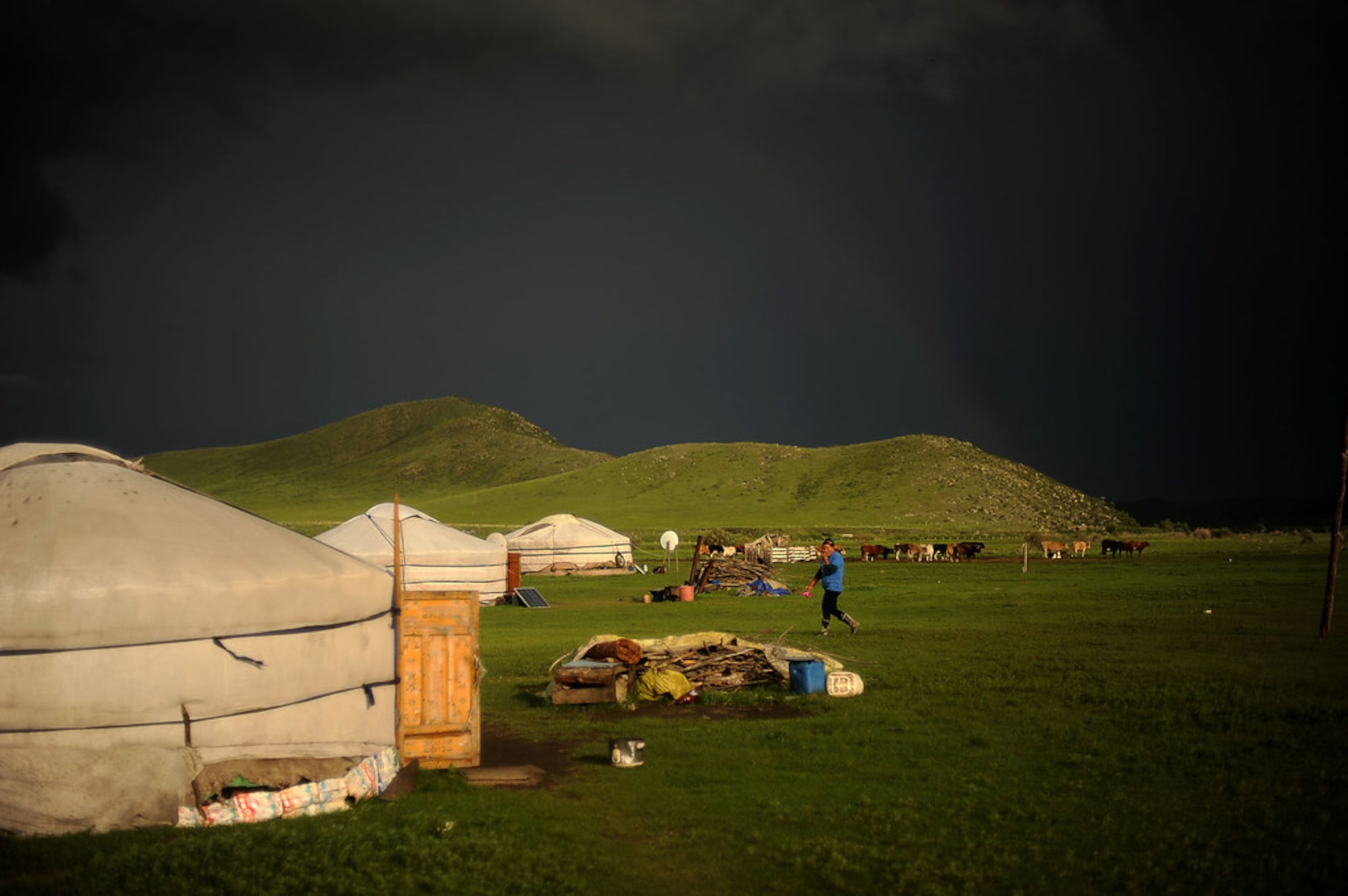 Herders live in a traditional Mongolian dwelling called a Ger. It is suited for the harsh terrain and lifestyle the herders live. The Ger is a round felt tent covered in durable, waterproof, white canvas and is designed to be able to pack up and move. Its round shape keeps the Ger resilient to Mongolia 's ferocious winds, while its felt is rapidly drying material for when it rains or snow melts. In Ulaanbaatar and towns across the country, people are setting into large, faceless apartment blocks. Ger districts usually occupy poor quality land on the outskirts of town. But in summer, urban Mongolians head to the outskirts where they spend as much time as possible in small wooden houses or gers where they can enjoy the beautiful Mongolian summers away from the uncomfortably hot urban apartments. (U.S. Air Force photo/Master Sgt. Jeremy T. Lock)