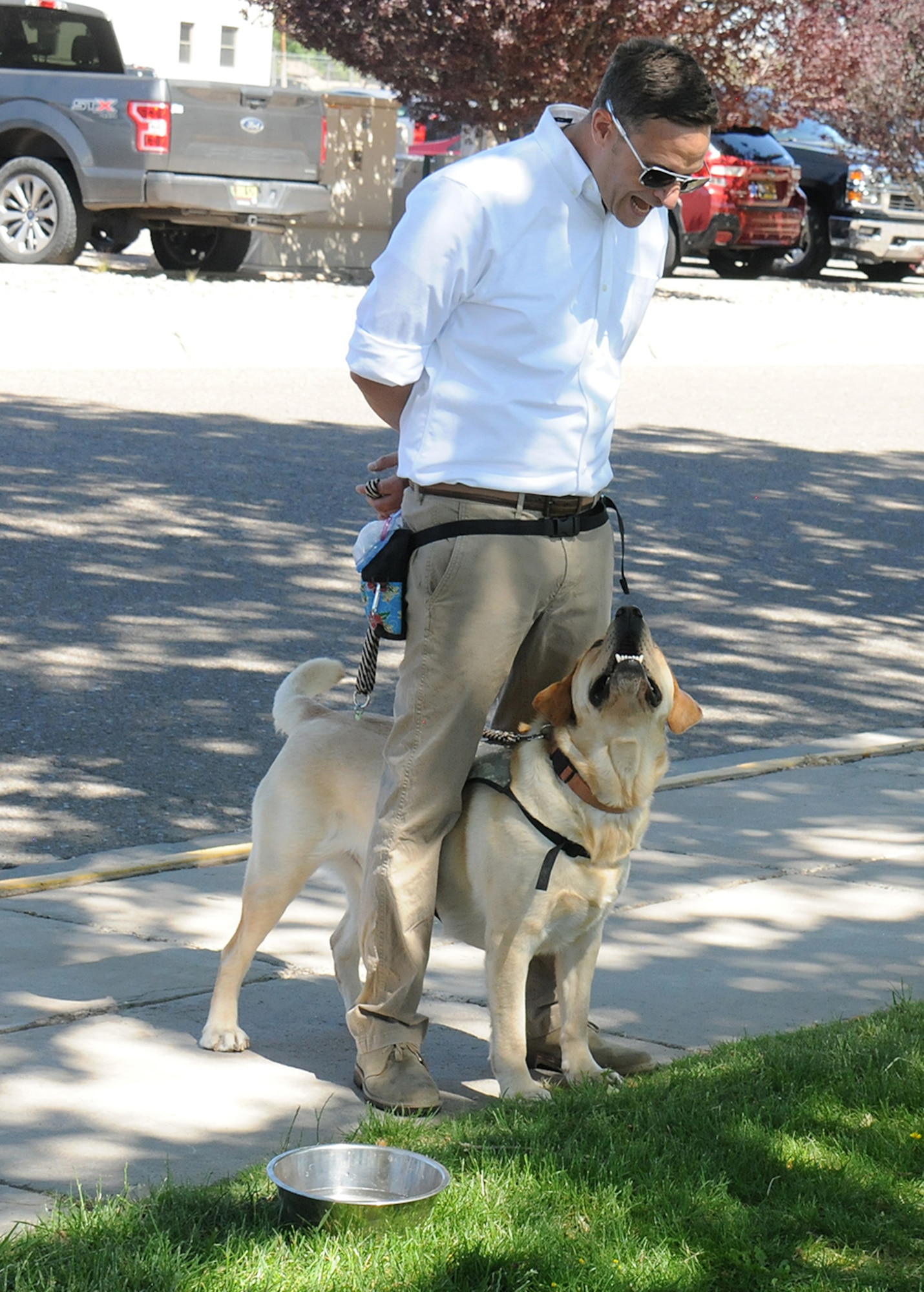 Man interacts with service dog