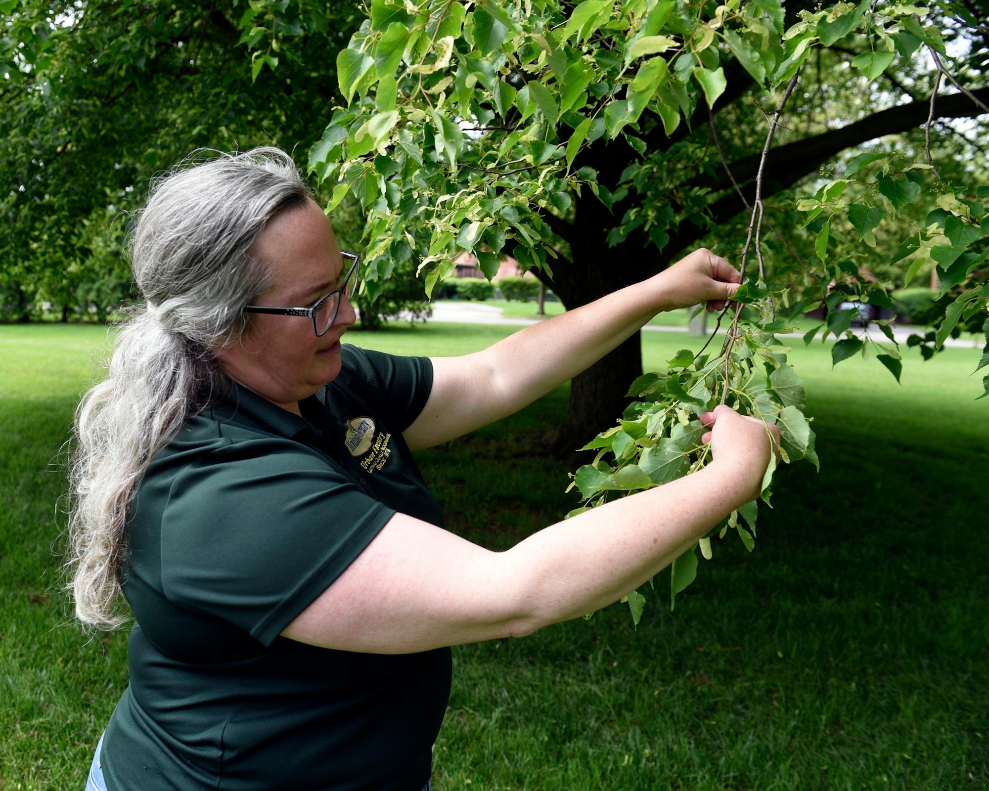 Wendi Van Buren, a regional urban forester with the Ohio Department of Natural Resources, studies the growth of a little leaf Linden tree near the Turtle Pond at Wright-Patterson Air Force Base, Ohio on May 18, 2021. The 88th Civil Engineer Group has partnered with the ODNR Division of Forestry to design a tree planting strategy for Wright-Patt. (U.S. Air Force photo by Ty Greenlees)