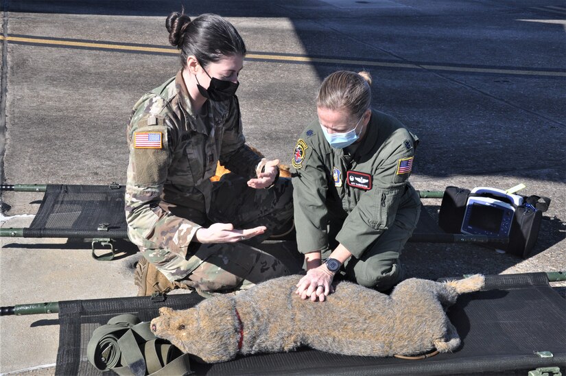Combat Casualties aren't Always Human > Youngstown Air Reserve Station > Article Display - Vimarsana News
