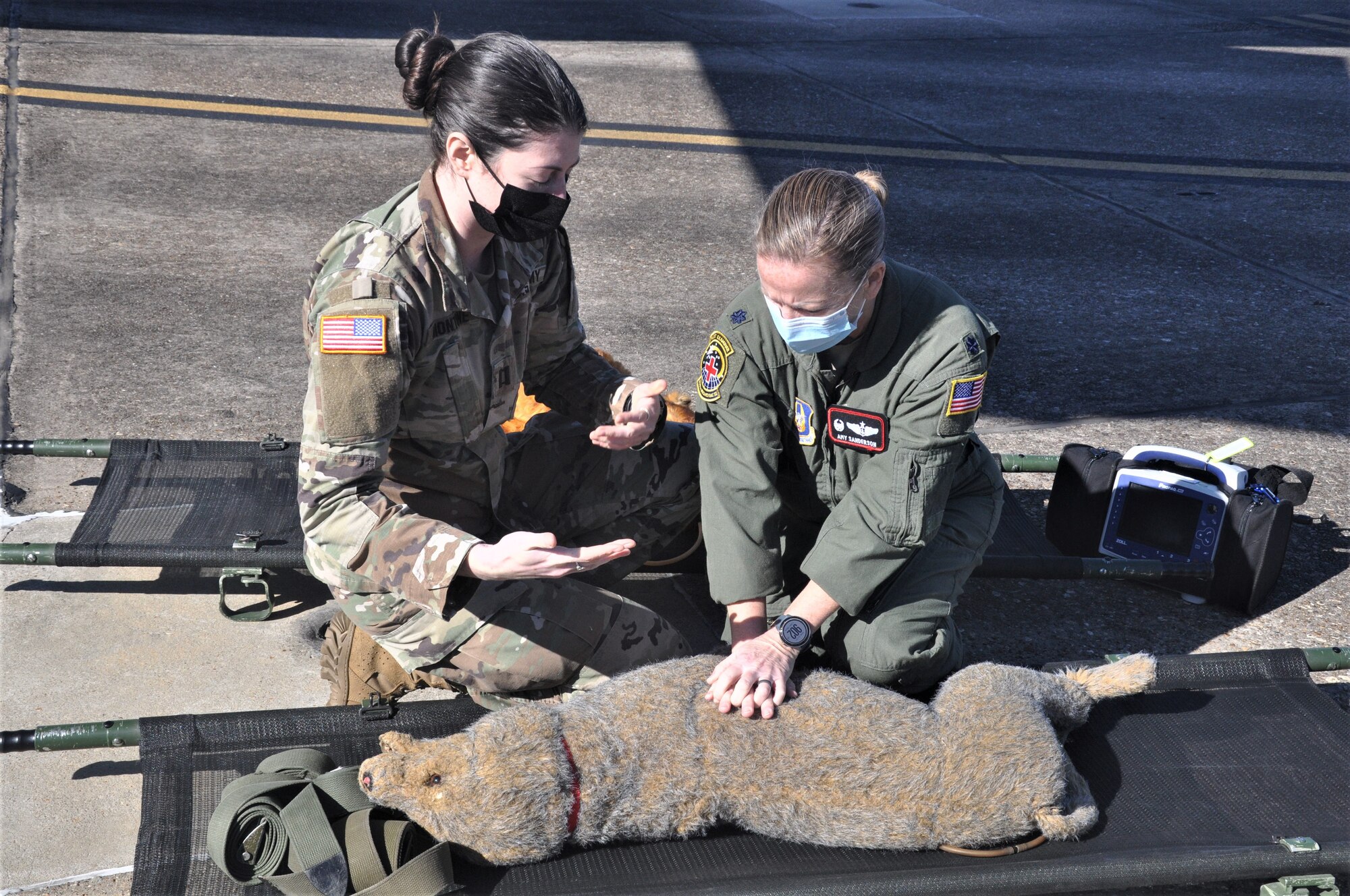 People treating a dog