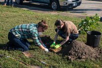 Norfolk Naval Shipyard’s (NNSY) Natural Resources Program office and NNSY volunteers participated in the National Environmental Education Foundation’s (NEEF) National Public Lands Day (NPLD) by planting native trees at the Craddock Little League Fields. These efforts were to enhance broader Environmental Stewardship, improve air quality, reduce and store excess carbon, stabilize soils, provide shade, and increase native biodiversity. Established in 1994 and held annually, NPLD is the nation's largest single-day volunteer event for public lands.