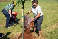Norfolk Naval Shipyard’s (NNSY) Natural Resources Program office and NNSY volunteers participated in the National Environmental Education Foundation’s (NEEF) National Public Lands Day (NPLD) by planting native trees at the Craddock Little League Fields. These efforts were to enhance broader Environmental Stewardship, improve air quality, reduce and store excess carbon, stabilize soils, provide shade, and increase native biodiversity. Established in 1994 and held annually, NPLD is the nation's largest single-day volunteer event for public lands.