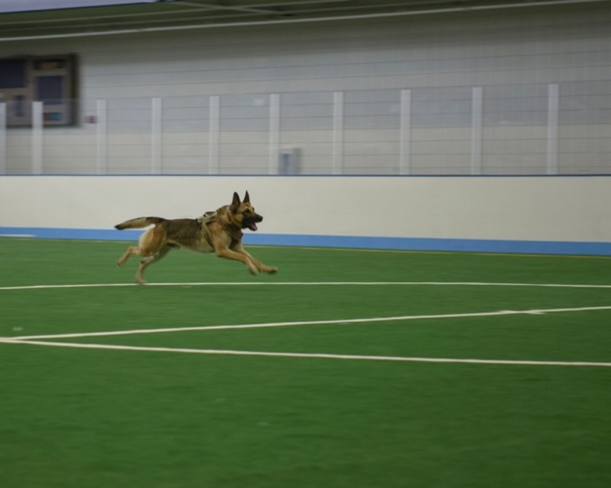 A dog runs across an indoor field.