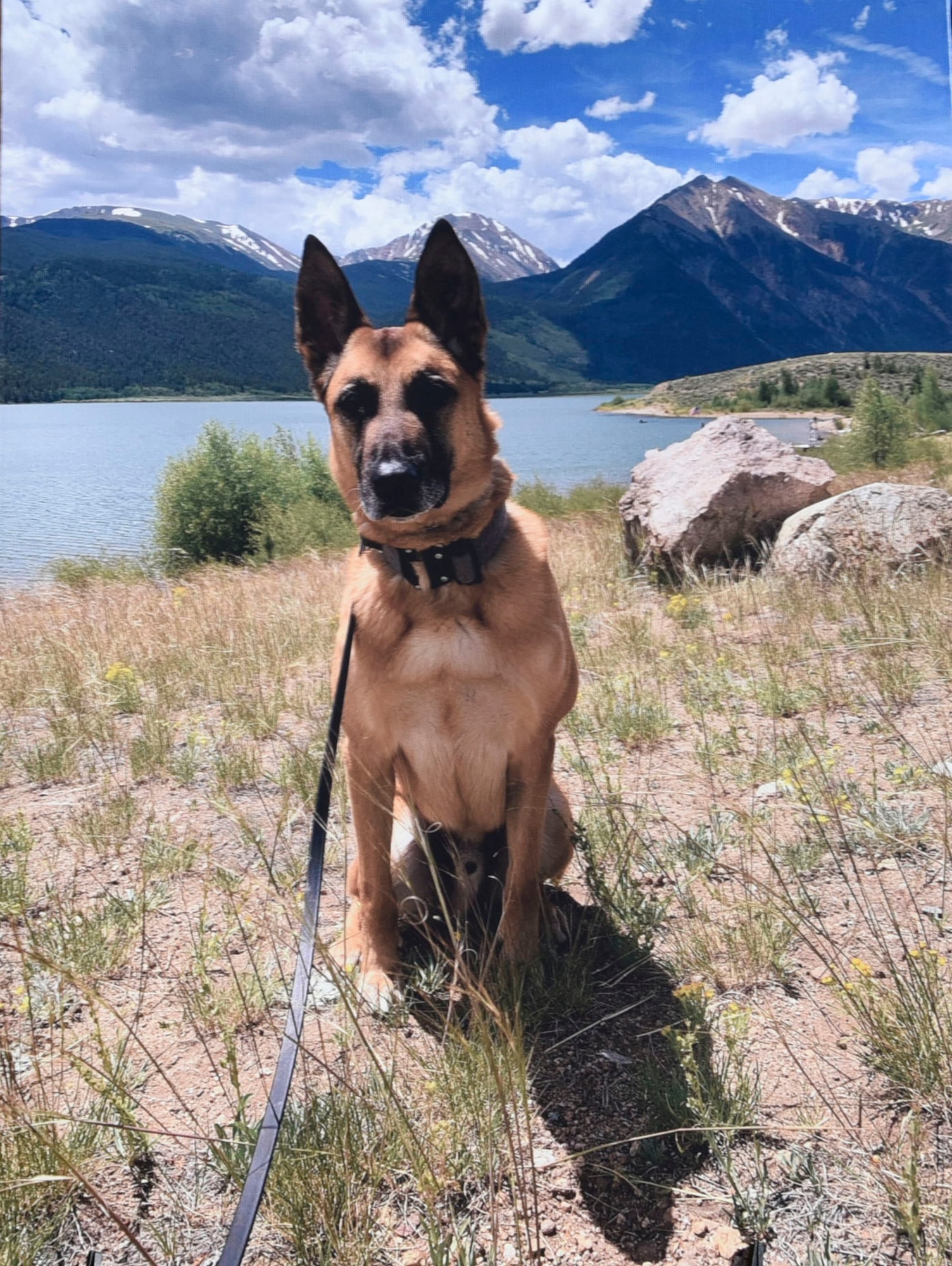 Military Working Dog Rrudy (Ret.), 21st Security Forces Squadron MWD