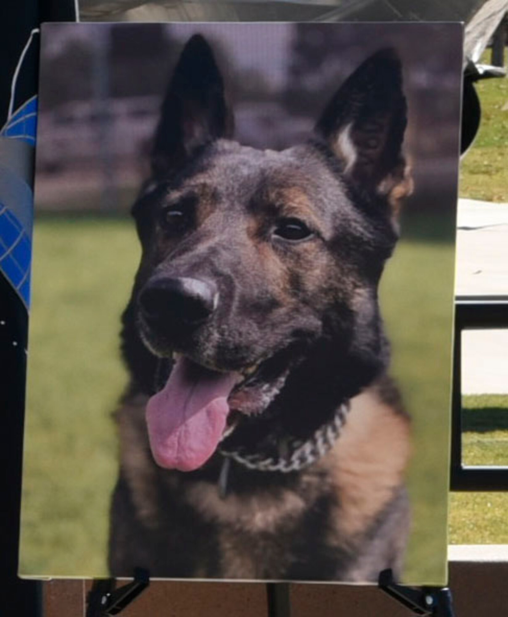 Military Working Dog Rexo, 21st Security Forces Squadron MWD