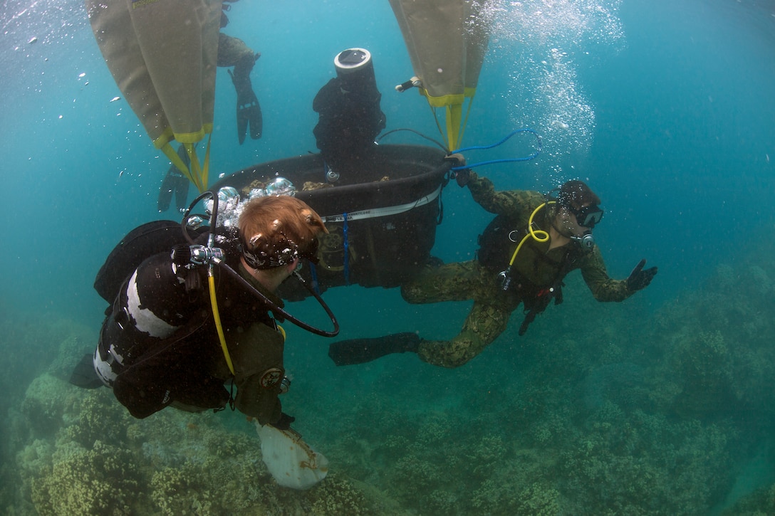 Divers carry a large basket of seed coral.