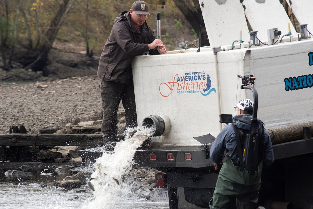 Director Zebediah Smith with Open Jaw Productions captures video of Jerry Short releasing trout Nov. 3, 2021 into the Caney Fork River below Center Hill Dam in Lancaster, Tennessee. The dam’s tailwater provides world-class trout fishing opportunities. Short is a motor vehicle operator with the Dale Hollow National Fish Hatchery Fish Rearing and Distribution. (USACE Photo by Lee Roberts)